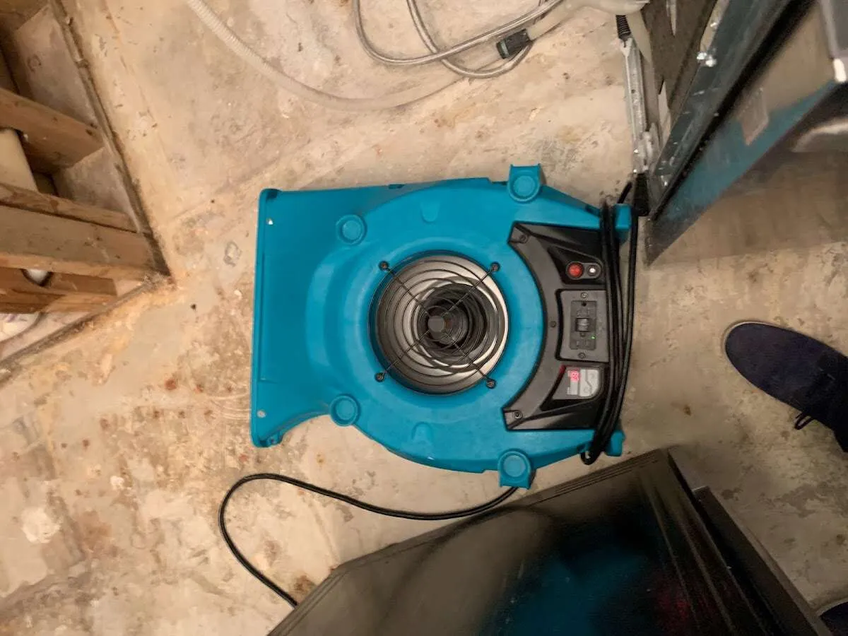 Air mover drying equipment for Mold Remediation & Removal in Homer